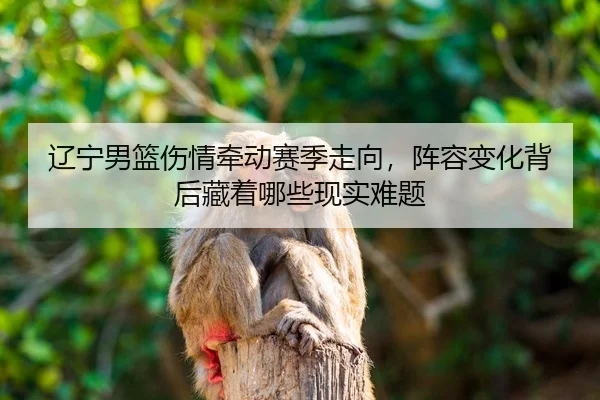 liao-ning-nan-lan-shang-qing-qian-dong-sai-ji-zou-xiang-zhen-rong-bian-hua-bei-hou-cang-zhe-na-xie-xian-shi-nan-ti-3-427.jpg