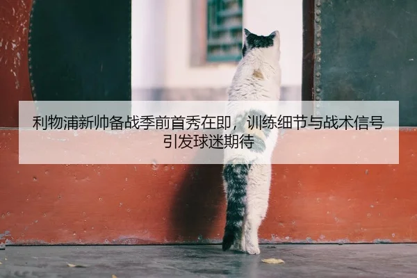 利物浦新帅备战季前首秀在即，训练细节与战术信号引发球迷期待
